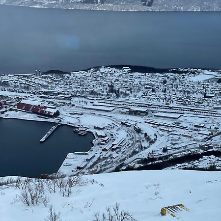 Narvik Sentrum Lägenhet Exteriör bild
